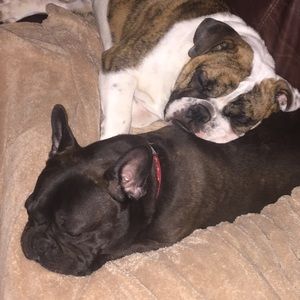 Meet your Posher, Becca